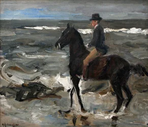 De ruiter op het strand